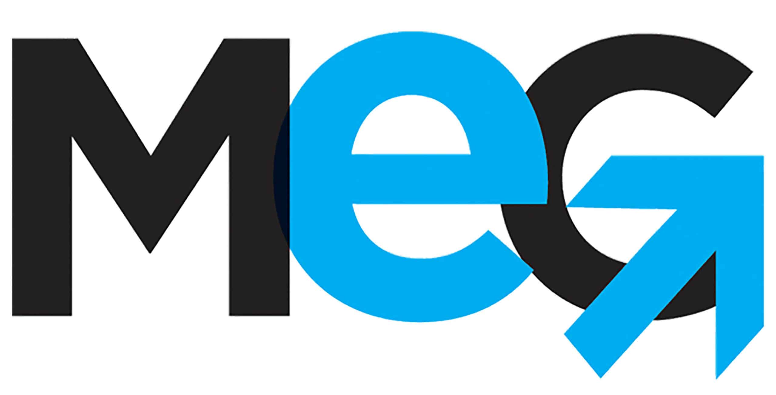 MEG Business Management Logo
