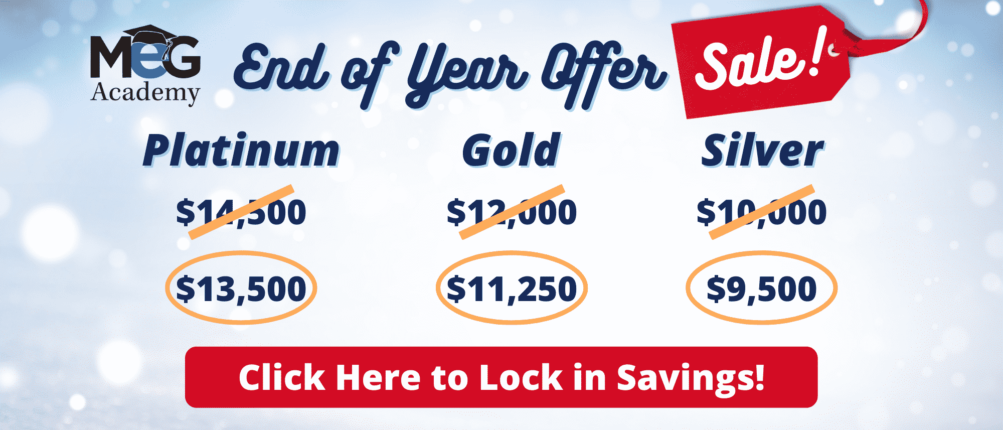 MEG Academy Promo
